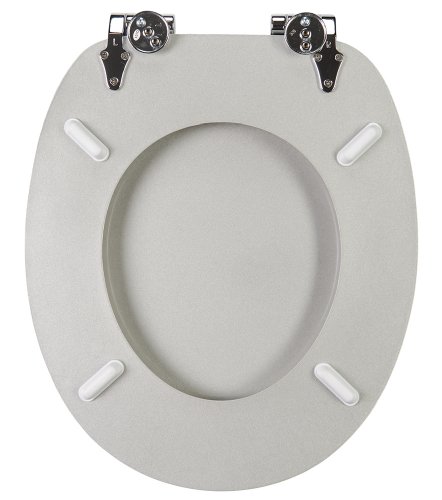 Sanilo WC Sitz mit Absenkautomatik Crystal Silver | hochwertige Oberfläche | einfache Montage | stabile Scharniere A642897 - 6