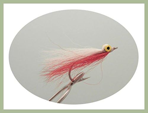 Bass, Saltwater Fishing Flies, 4 Pack Red Popeye Clouser, Size 2/0