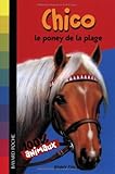 Chico le poney de la plage