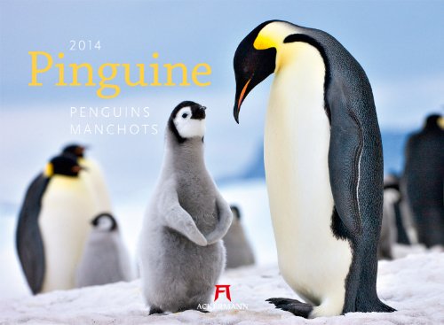 Pinguine 2014