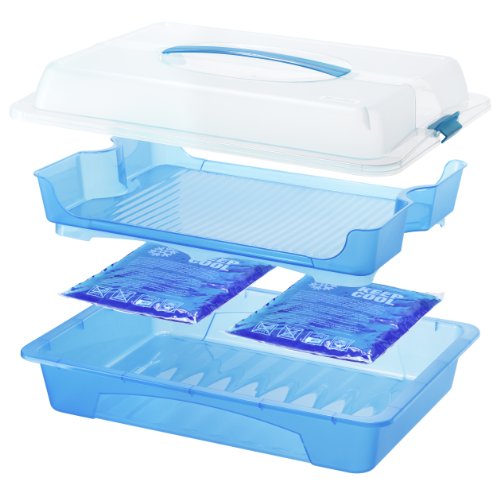 rotho 1760506651 Partybutler Partycontainer Cool und fresh aus Kunststoff PP, ideal zum Transportieren Kühlen von Lebensmitteln, mit Tragegriff und Kühlkissen, circa 43,5 x 29,5 x 11 cm (LxBxH), transparent / blau - 2