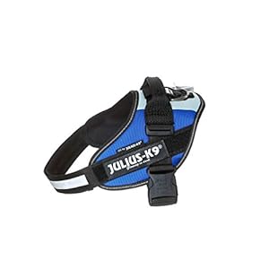 Julius-K9 16IDC – Power Harness