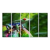 islandburner Cuadro Cuadros Impresión sobre Lienzo - Formato Grande - Cuadros Modernos Rana