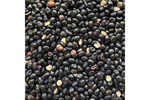 Il Contadino - Antichi Becchimi | FAVINO NERO AD USO ZOOTECNICO | Essenza di semi Selezionati e Super Ventilati, No OGM, 100% Vegetale, Assenza di scarti. Qualità Superiore (5 Kg)