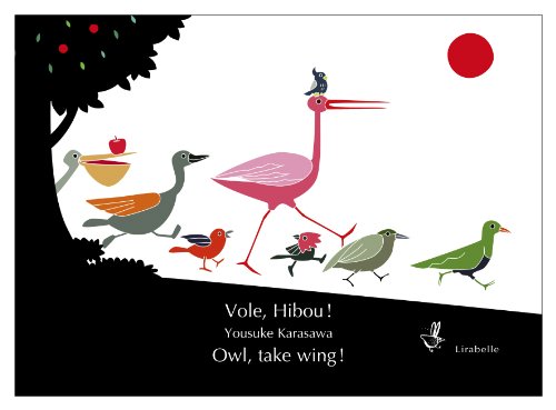 couverture de : Vole, hibou