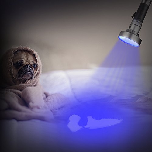 WOLFWILL LED Schwarzlicht Taschenlampe UV Flashlicht mit UV Schutzbrille für Camping,Outdoor - 5