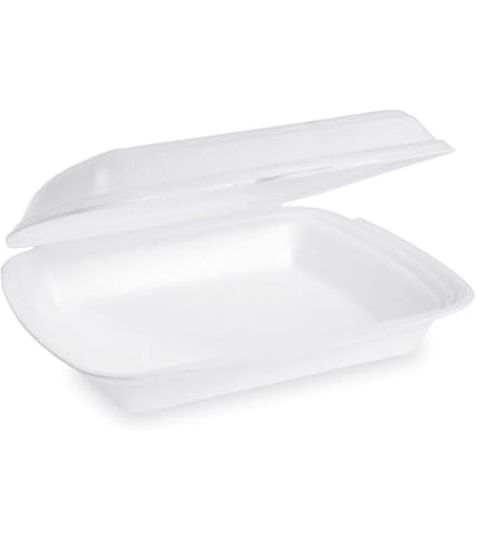 Boîte Alimentaire En Canne à Sucre Biodégradable - Lot De 500 - 152x152x76 Mm - Idéale Burgers, Plats à Emporter, écologique