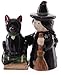 Produktbild Ceramic Lisa Parker Witch and Cat Salt and Pepper Set by Puckator