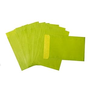 50 pcs Petit Sachets Cadeau plats dans maigrün, vert tilleul, vert clair... 9,5 x 14 cm - DT. Fabrication - pour le calendrier de l'avent bricoler, pour des petits cadeaux, sachets de Fête et bien plus encore