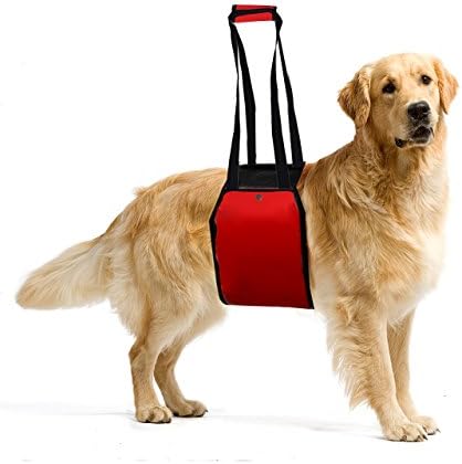 Dog Lift Harness Dog Lifting Sling Aid Padded Dog Harness Lifter with Handle Dog Rehabilitation Harness for Large Medium Weak Old Dog Assist Sling for Mobility Surgery YIYU Red 1PC