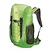 Produktbild SALEWA Rucksack Ascent Junior, Chlorophyl / Cactus, 44 x 24 x 21 cm, 16 Liter, 00-0000003265_5700