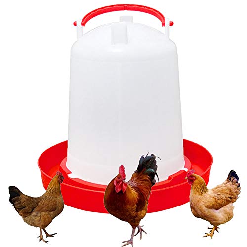 Mangeoire Pour Poules Test élu Produit Du Moment Skimbu Le