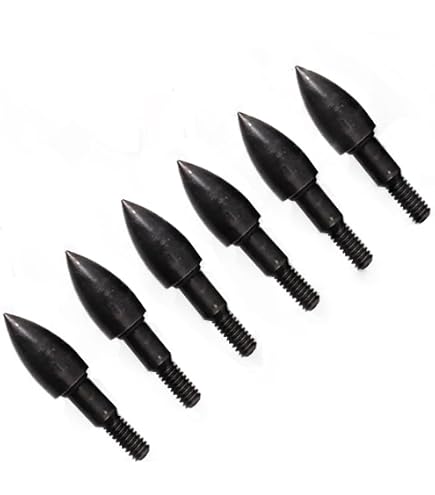 Bogenschießen Feld Punkte 100 Grain Pfeilspitze Einfügen