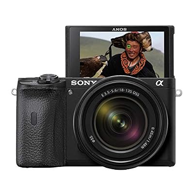 Sony Alpha ILCE-6600M Appareil photo hybride APS-C, Kit boitier + Optique E 18-135mm, Noir