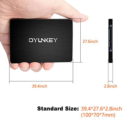 OYUNKEY 3D NAND SSD 120GB 2 5 pulgadas SATA III Disco duro s  lido interno hasta 520 MB s de velocidad de lectura  hasta 400 MB s de velocidad de escritura para Desktop   Laptop   Notebook   E PRO-120G   