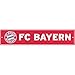 Produktbild FC Bayern München Nummernschild / Autokennzeichen / Kennzeichen mit 2 Saugnäpfen FCB
