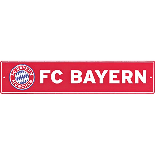 Preisvergleich Produktbild FC Bayern München Nummernschild / Autokennzeichen / Kennzeichen mit 2 Saugnäpfen FCB