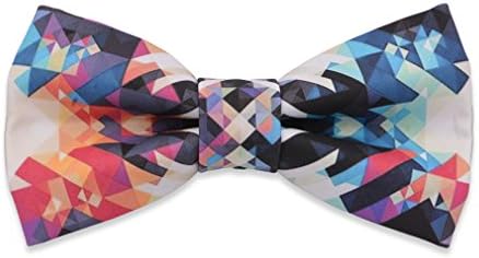 Abstract Bow Tie