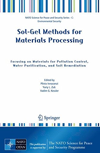 Sol-Gel Methods for Materials Processing: Focusing on Materials for Pollution Control, Water Purification, and Soil Remediation (NATO Science for Peace and Security Series C: Environmental Security)