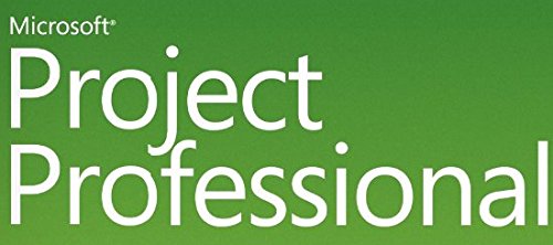 Preisvergleich Produktbild Microsoft Project Pro w / 1 PROJ SRV Cal I