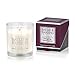 Baylis & Harding Midnight Fig and Pomegranate One Wick Candle