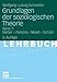 Grundlagen der soziologischen Theorie: Band 1: Weber - Parsons - Mead - Schütz by Wolfgang Ludwig Schneider