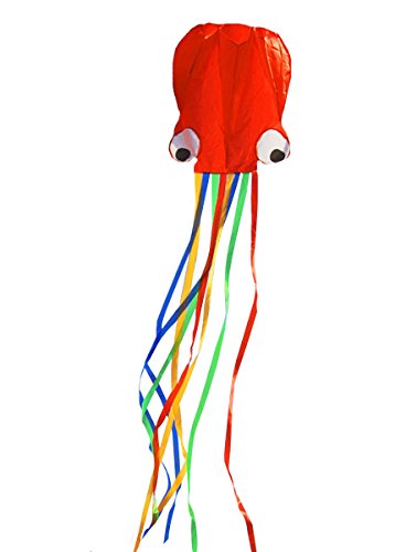 AiSi 4M Large Octopus Kite Lattice Cloth Material Easy Flyer Kite Perfect Toy for Kids and Children Outdoor Games AiSi 4M Large Octopus Kite Lattice Cloth Material Easy Flyer Kite Perfect Toy for Kids and Children Outdoor Games