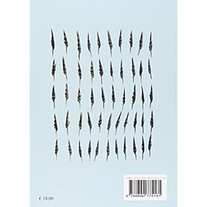 Antologia della beccaccia. Mito e contromito