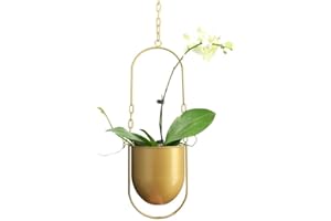 BEIHAOER Hanging Decoration Pot Metal Boho Hanging Basket Ceiling Planter for Indoor Plants Succulents Air Plants Cactus (Gold)