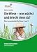 Produktbild Die Wiese - was wächst und kriecht denn da (CD-ROM): Grundschule, Sachunterricht, Klasse 1-2