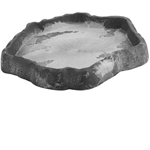 Sharplace Trinkschale Flach Schildkröte Wasserschale Für Reptilien