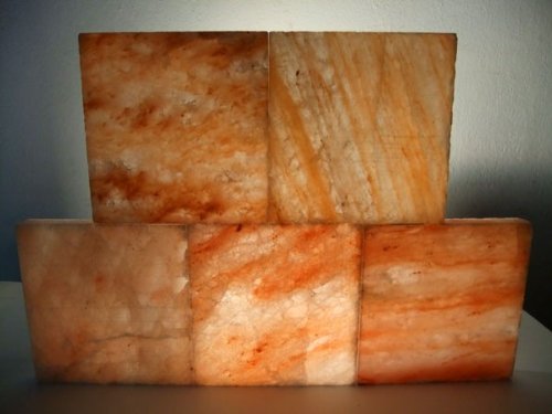 Salzfliese Quadrat 20x20x2,5 cm (~ 2,2 kg) - 2