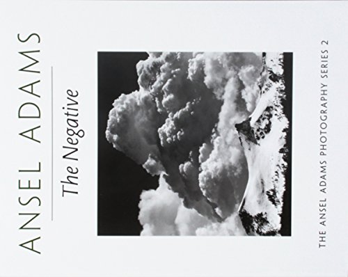The Negative livre