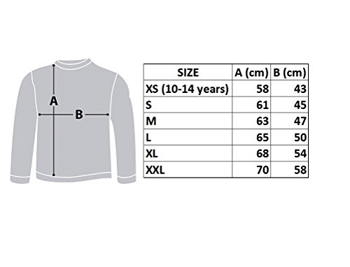 Harry-Potter-KAPUZENPULLI-Hoodie-Sweatshirt-HOGWARTS-School-Waffen-4-HAUSES-100-Offiziell-WARNER-BROS