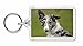 Produktbild Blue Merle Border Collie Hund Foto Schlüsselbund TierstrumpffüllerGeschenk