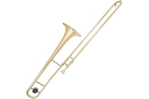 Odyssey OTB1000 Debut 'Bb' Trombone Outfit with Deluxe Case & Accessory Kit - Instrument with Gold Lacquered Brass Body & Monel Pistons - Ideal for Beginners and Professionals