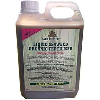 Envii Seafeed Xtra - Vloeibare Organische Meststof Op Basis Van Zeewier 1 Liter