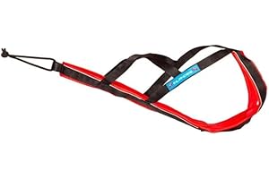 Harnais polyvalent pour chien Inlandsis Polar Quest X-Back – Léger, Ergonomique et Résistant – Canicross, Cani-VTT, Promenade et Randonnée (chien>15kg)