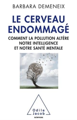 Le  Cerveau endommagé : comment la pollution altère notre intelligence et notre santé mentale