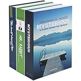 HMF 4312202 Cash Box Strong XL Camouflage Book Shape 22 x 13 x 15 cm