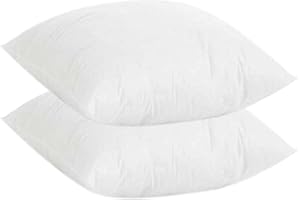rparty Relleno de Cojin 2 Unidad de 60x60cm Hecho de Fibra Hueca siliconada de Alta recuperación, Suaves y Ligeras Conservan el Volumen para sofá o Cama