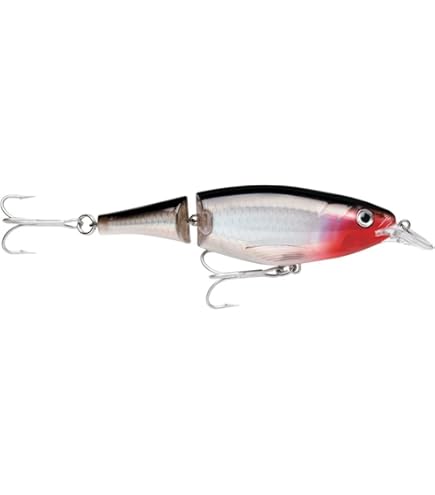 Leurre De Pêche Rapala Shad Rap 7 - Articulé, Avec Hochets, Crochets VMC - Pour Pêche Multi-espèces En Eau Peu Profonde