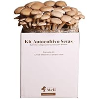 Amazon.es: Kits de cultivo en casa: Jardín