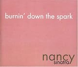 Burnin' down the spark