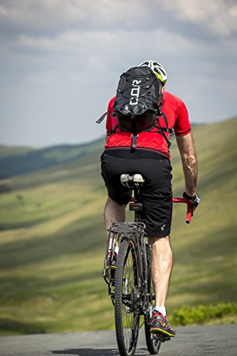 Garmin Accesorios para Bicicleta, Color Negro, luz Trasera con Radar - Garmin