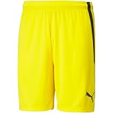Puma Teamliga Shorts - Men's Shorts
