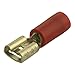 Price comparison product image Blade Receptacles Terminals Width 6.3 mm/Thickness: 0.8 mm Gauge: 1 mm² Red Pack of 100