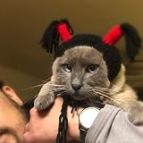 ❖ Correa ajustable: con diseño de banda elástica para la barbilla, fácil de usar y ajustar el tamaño, se adapta a la mayoría de los gatos y perros.
