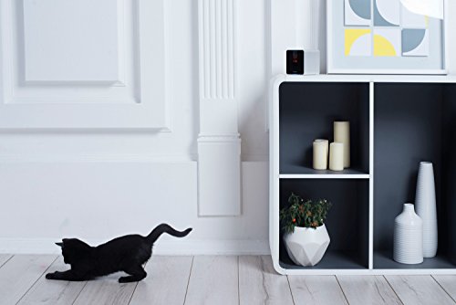 Petcube-Interactive-Wi-Fi-Pet-Camera