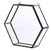 Produktbild MagiDeal Glas geometrische Terrarium Box Sukkulent Pflanze Pflanzer Wand Dekor - schwarz